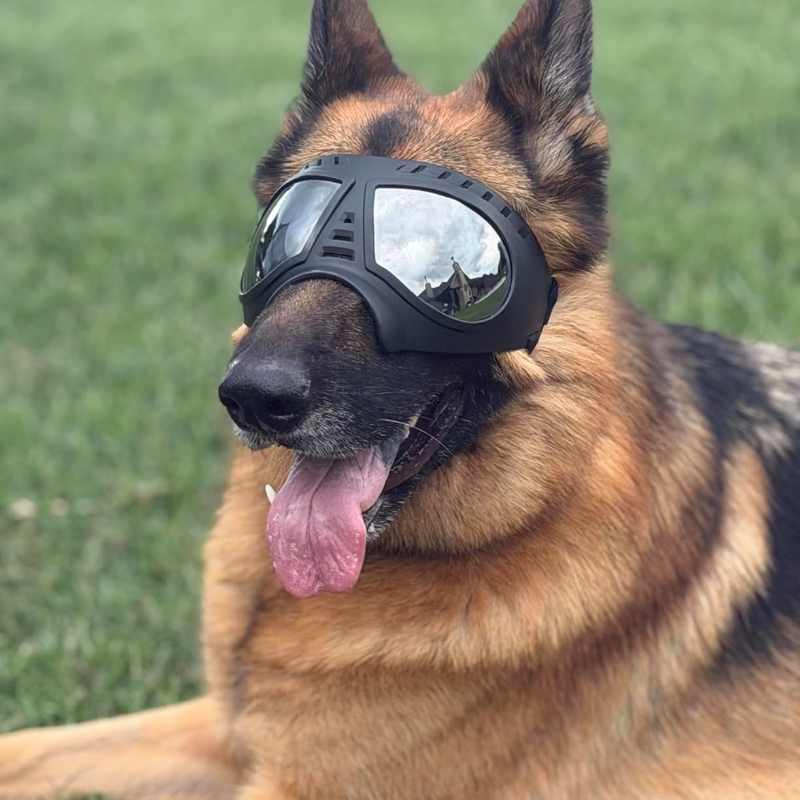 Pet Glasses for Medium Large-s - огляд і ціна Snow Goggle Uv
